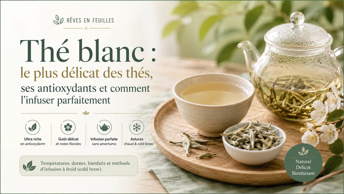Thé blanc : antioxydants, bienfaits et infusion parfaite | Rêves en Feuilles
