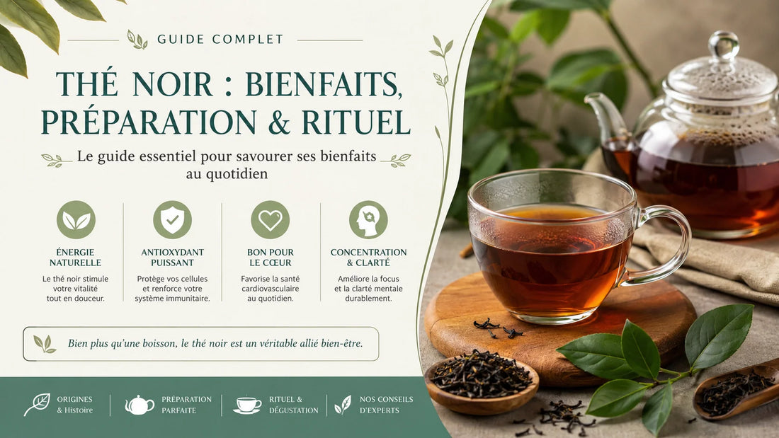 Thé noir : bienfaits, théine et comment l'infuser | Rêves en Feuilles