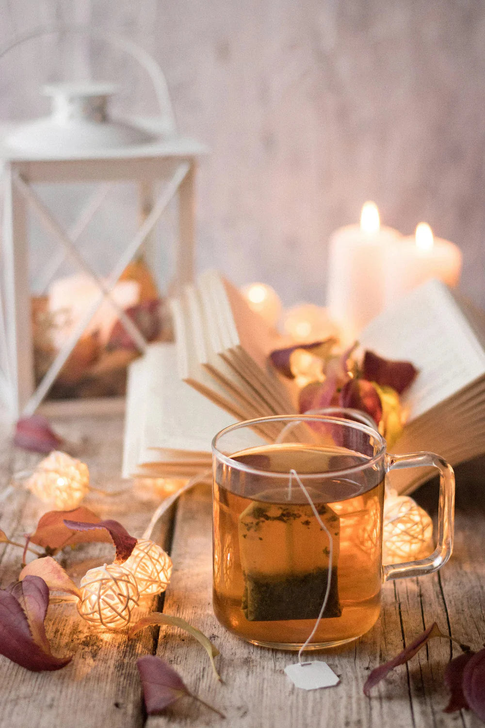 Tisane sommeil insomnie : 8 plantes et 3 recettes efficaces