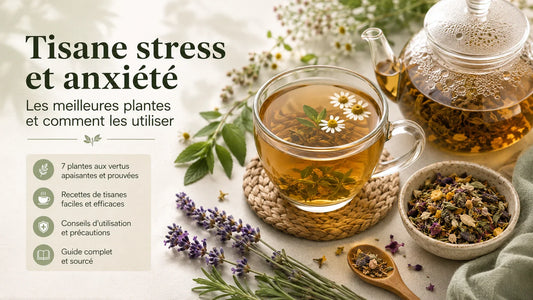 Tisane stress et anxiété : 7 plantes et recettes efficaces