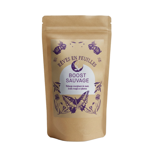 Boost Sauvage - Maté Énergisant Fruits Rouges & Citron