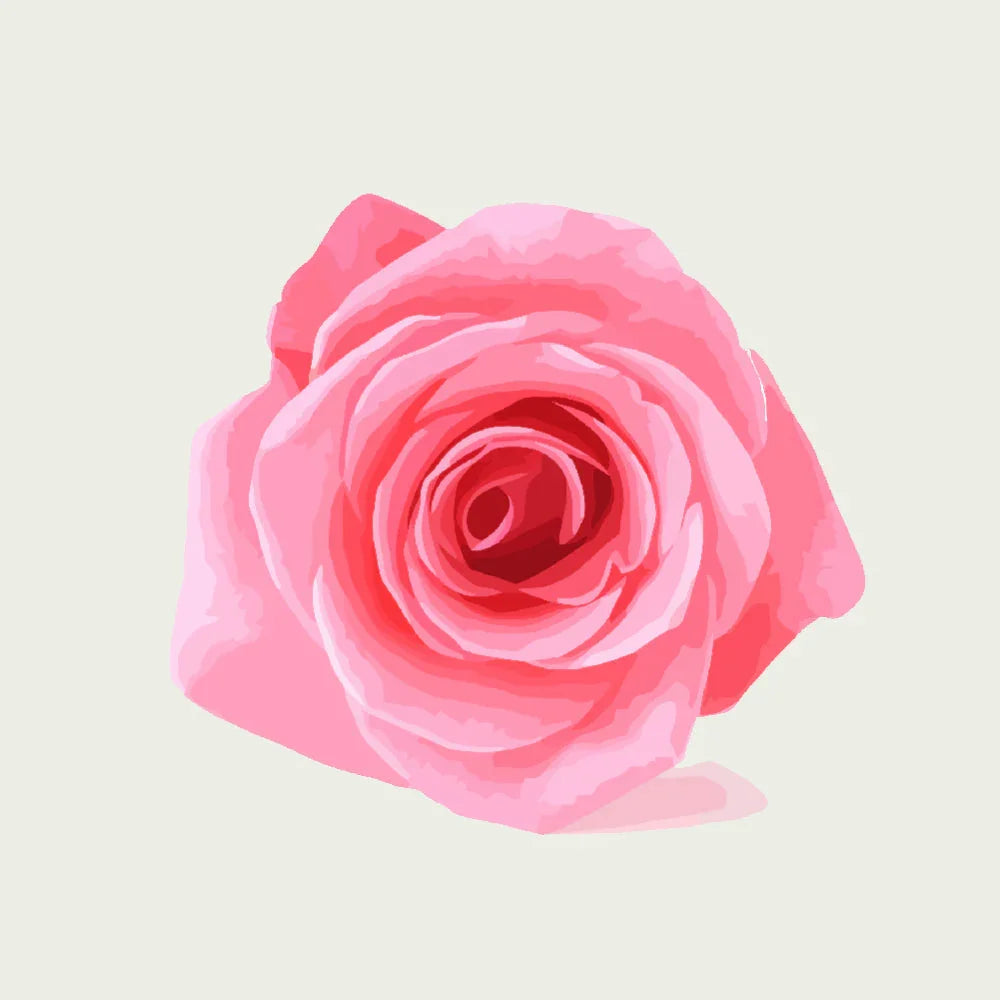 Ingrédients (100gr) - Rêves en feuilles